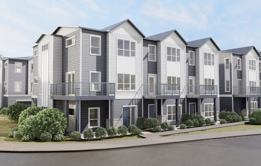 Belvedere project image